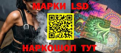 амф Кандалакша